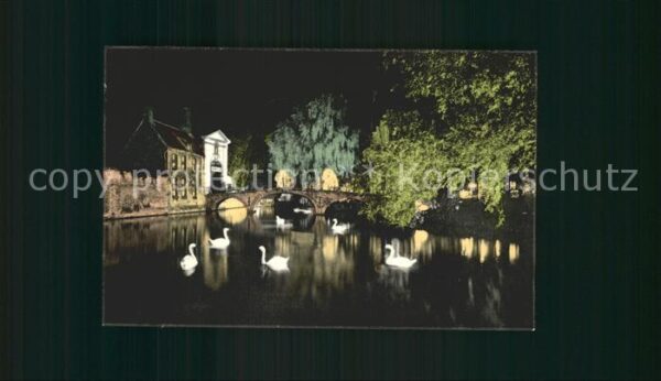 Brugge Begulnenkloster-Brücke Schwanenteich