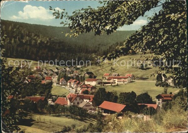 Enzkloesterle Teilansicht