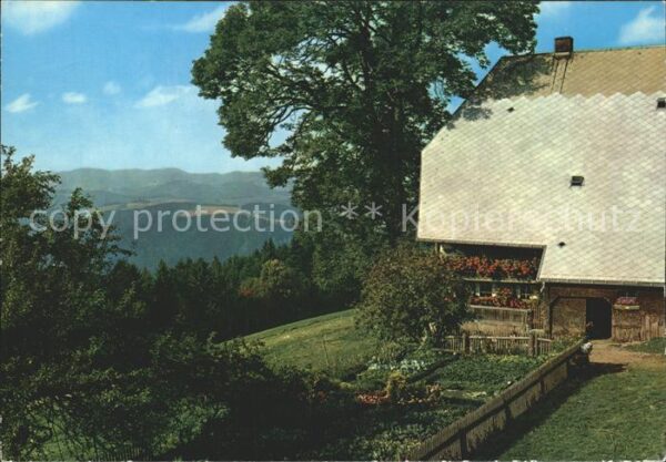 Schwarzwald Gasthaus