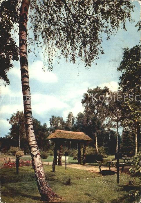 Genk Domein Bokrijk Het Arboretum