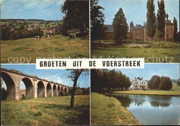 Voerstreek Brücke Gebäude Kühe
