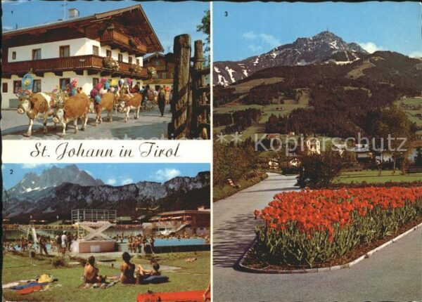 St Johann Tirol Almabetrieb Erholulungszentrum Panorama