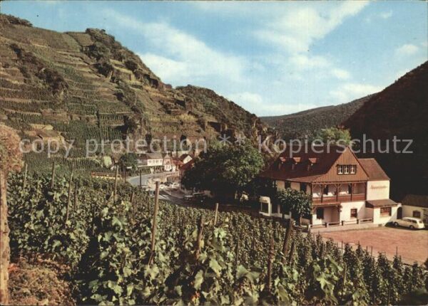 Walporzheim Bauernschenke Weinberge