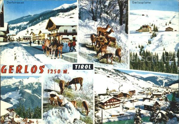 Gerlos Dorfstrasse Gerlosplatte Skigebiet Alpe