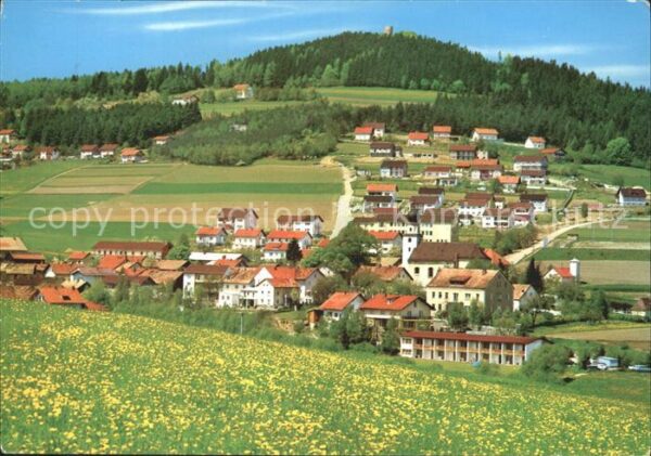 Rimbach Bayrischer Wald Erholungsort mit Burg Lichtenegg Sommer