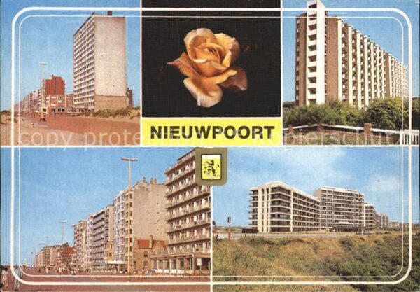 Nieuwpoort West-Vlaanderen Hochhäuser Wohnblocks Siedlung Rose