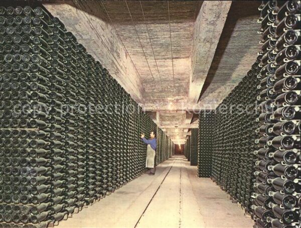 Cavas Codorniu Botellas envejeciendo Sektkellerei