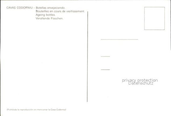 Cavas Codorniu Botellas envejeciendo Sektkellerei – Bild 2