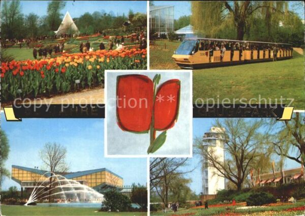 Essen Ruhr 50 Jahre Grugapark Tulpen Grugahalle Pa