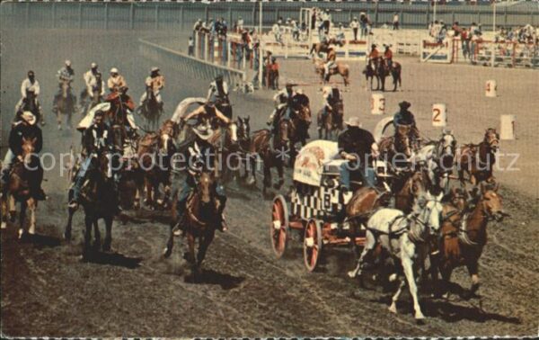 Calgary World famous Chuckwagen Races