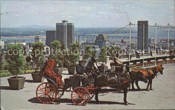 Montreal Quebec Old French Horsedrawn Carriages Mount R