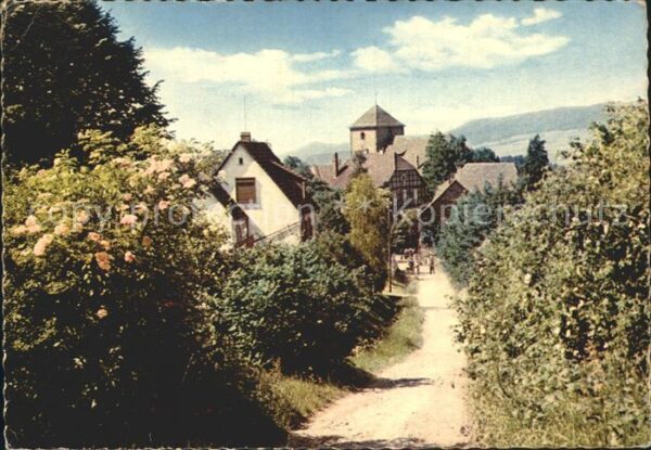 Eschershausen Holzminden Driebeweg