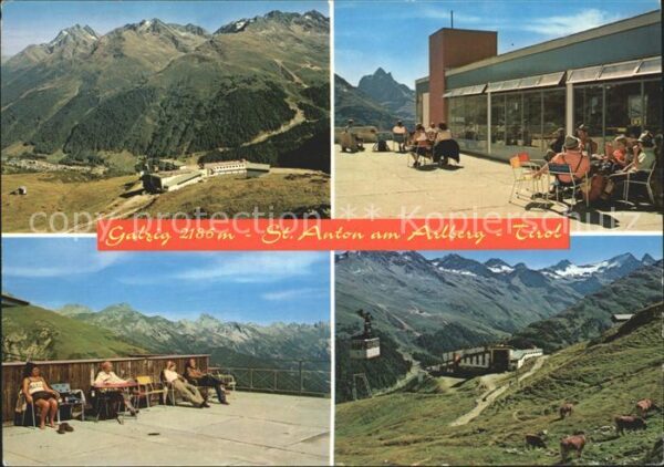 St Anton Arlberg Bergstation Kühe