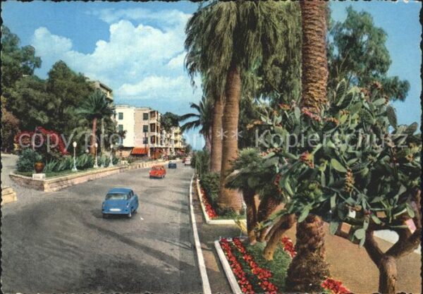 Ospedaletti Palmen Aurella Strasse