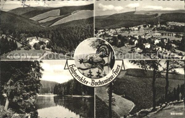 Hahnenklee-Bockswiese Harz Auerhahn mit Bärental Total Grumbacher