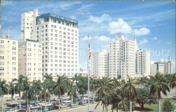 Miami Florida Palm lined Biscayne Boulevard