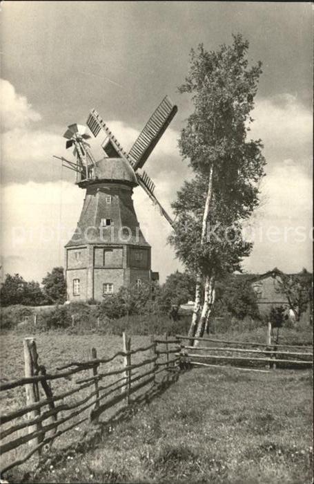 Graal-Mueritz Ostseebad Mühle