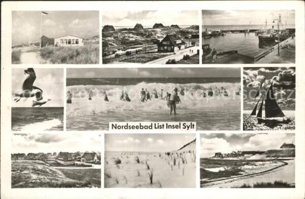 List Sylt Strand Möwe Hafen