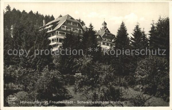 Freudenstadt Schwarzwaldhotel Waldlust