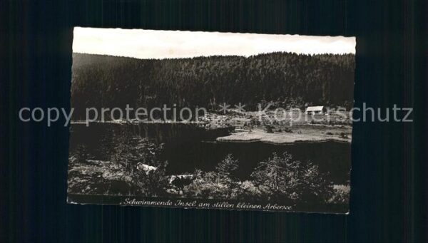 Bayrisch Eisenstein Schwimmende Insel am kleinen Abersee