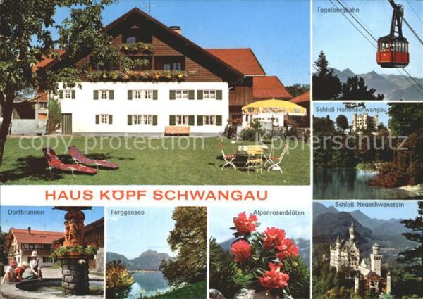 Schwangau Haus Köpf Forggensee Alpenrosenblüten