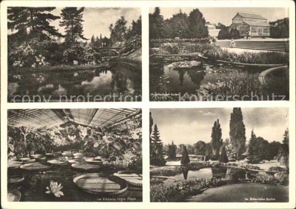 Berlin Im Botanischen Garten