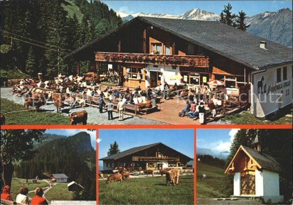 Mellau Vorarlberg Alpenhof Rossstelle