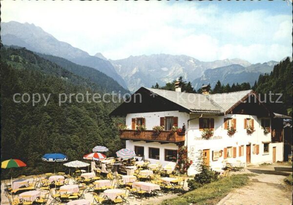 Wetterstein Alma mit Wettersteingebirge