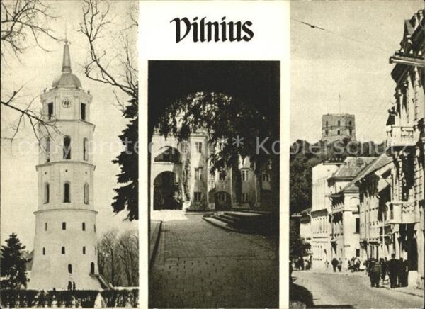 Vilnius Glockenturm Gediminasplatz Universität