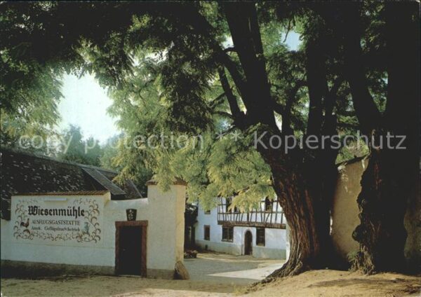Floersheim Main Ausflugsgaststätte Wiesenmühle
