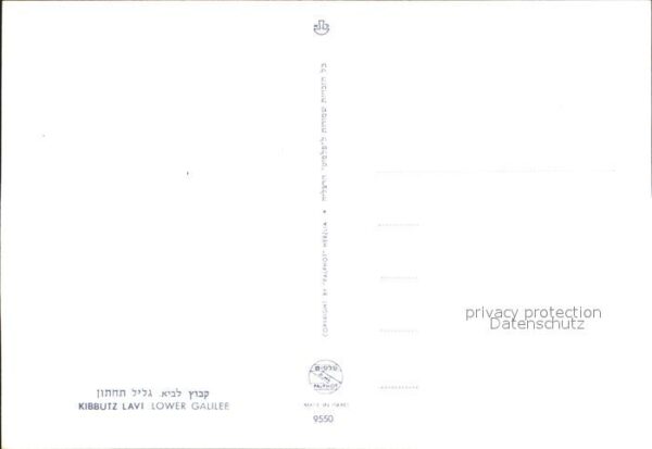 Lavi Kibbutz Lavi Fliegeraufnahme – Bild 2
