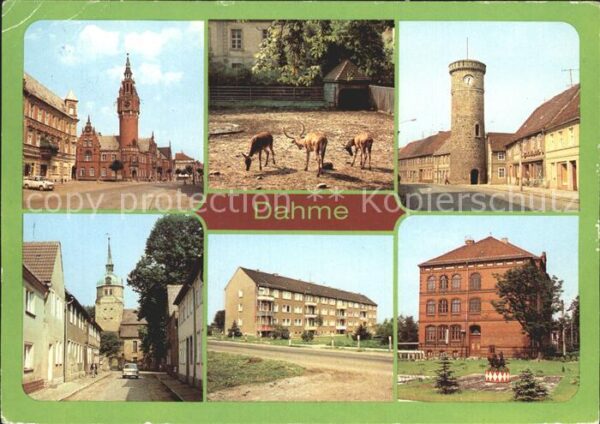 Dahme Mark Rathaus  Tierpark Kirchstrasse Vogeltur