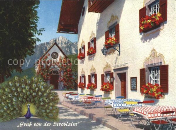 Anger Chiemgau Stroblalm am Högl mit Pfau