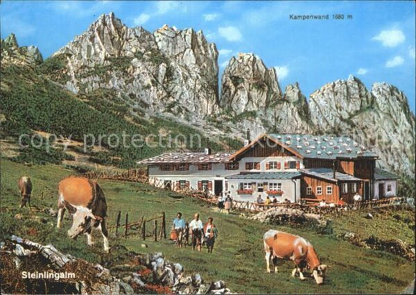 Kampenwand Chiemgau Steinlingalm Kühe