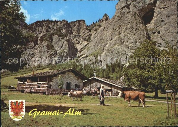 Pertisau Achensee Gramai-Alm Kühe