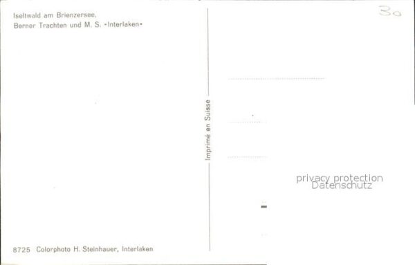 Motorschiffe M.S. Interlaken Iselwald Brienzersee Be – Bild 2