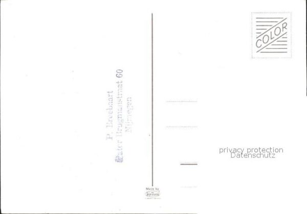 Hasen – Bild 2