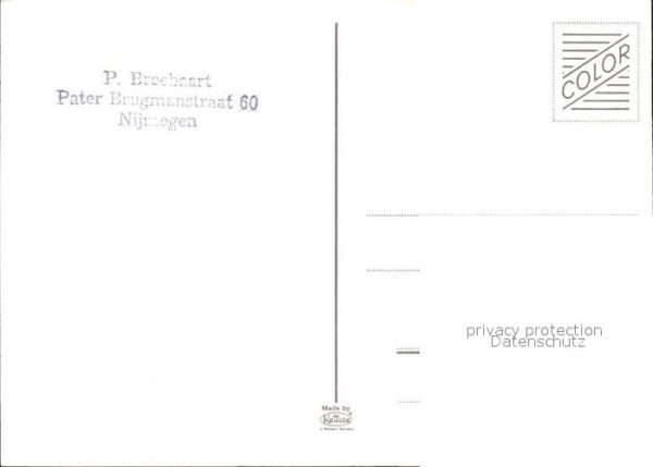 Eisbaer – Bild 2