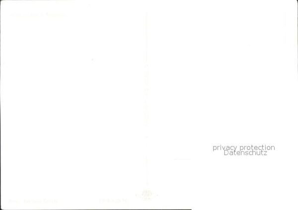 Voegel Afrikanischer Marabu – Bild 2