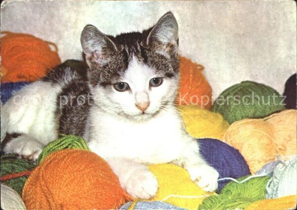 Katzen Häkelwolle
