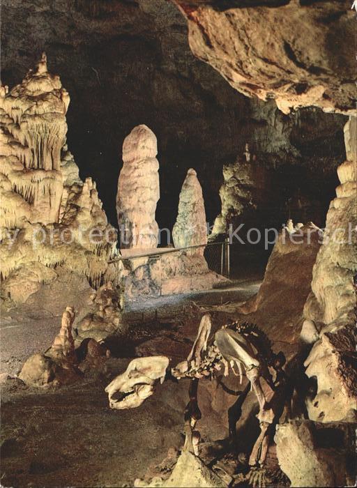 Hoehlen Caves Grottes Bärenhöhle-Karlshöhle Erpfingen