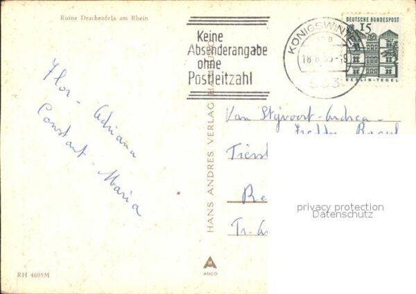 Esel Tiere Ruine Drachenfels – Bild 2