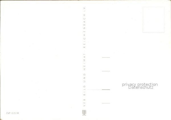 Voegel – Bild 2