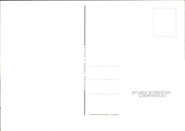 Pferde – Bild 2