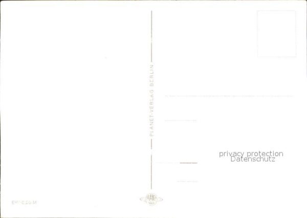Pferde Fohlen – Bild 2