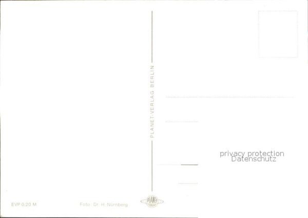 Pferde – Bild 2
