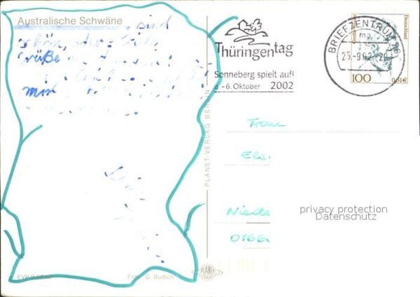 Schwan Australische Schwäne – Bild 2