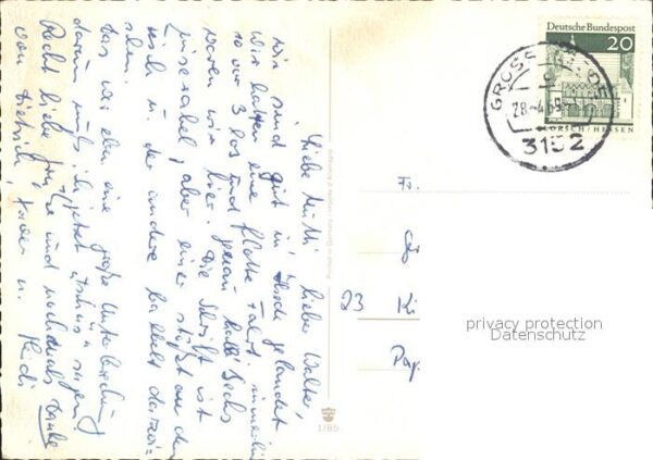 Baeren – Bild 2
