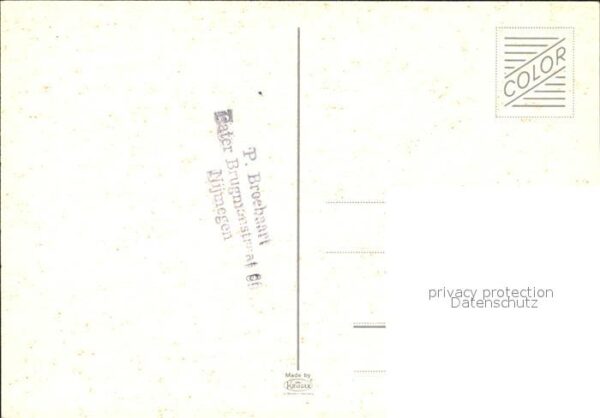 Kuehe – Bild 2