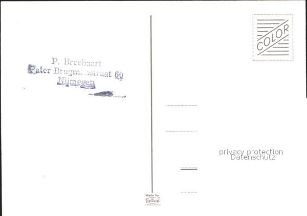 Tiere Känguru – Bild 2